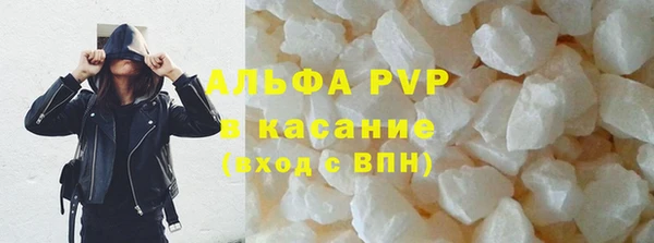ECSTASY Липки
