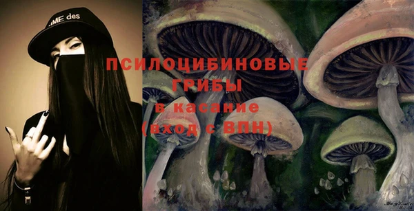 стаф Лихославль