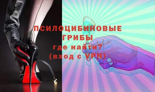 ECSTASY Липки