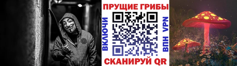 Галлюциногенные грибы Cubensis  Починок 